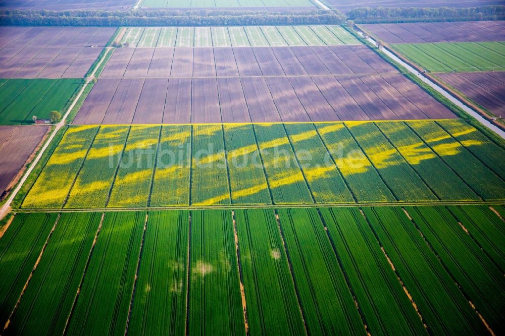 Luftbild Bando - Strukturen auf landwirtschaftlichen Feldern in Bando in Emilia-Romagna, Italien