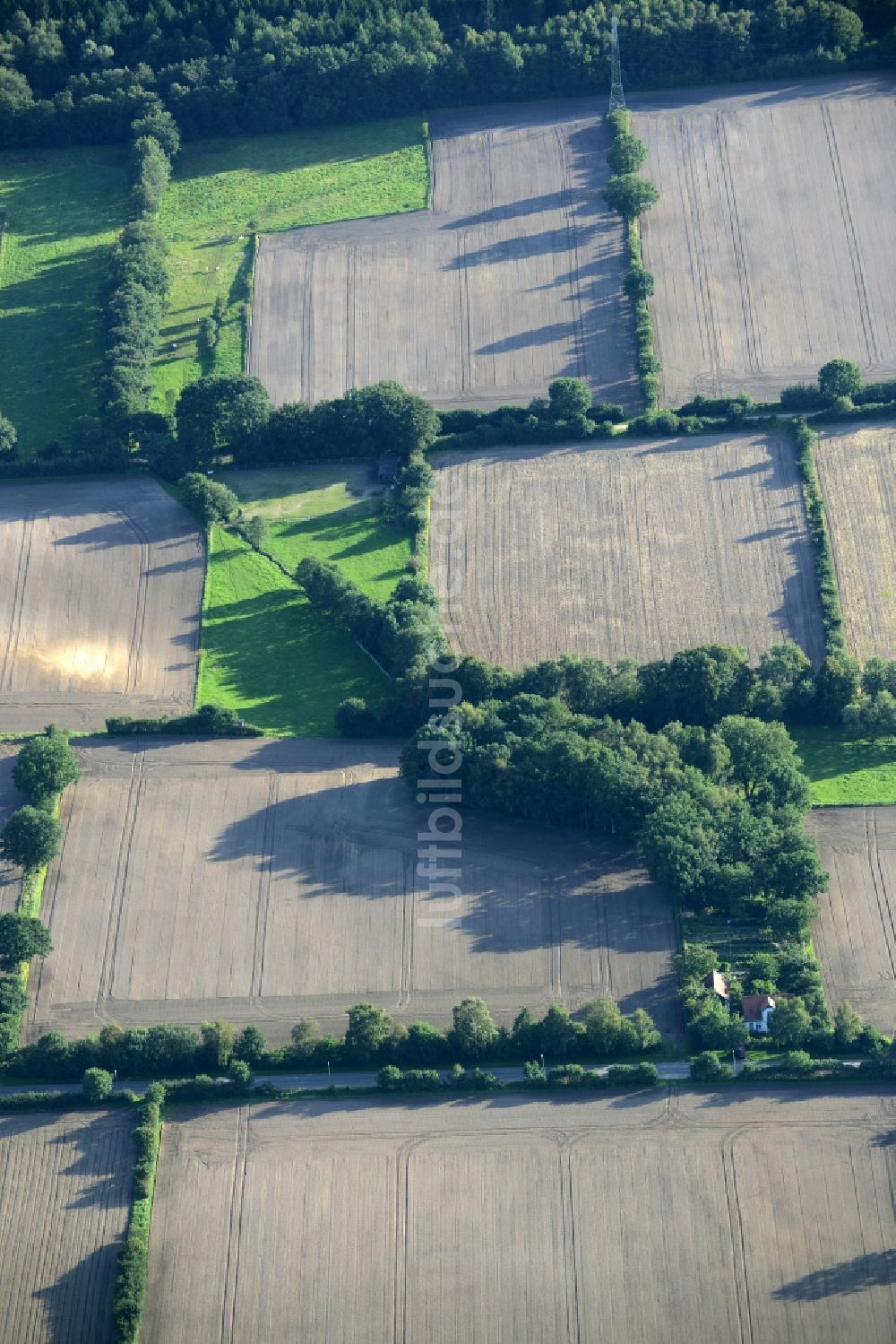 Luftaufnahme Barsbüttel - Strukturen auf landwirtschaftlichen Feldern in Barsbüttel im Bundesland Schleswig-Holstein