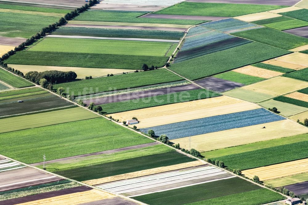 Gundelfingen an der Donau von oben - Strukturen auf landwirtschaftlichen Feldern in im Bundesland Bayern, Deutschland