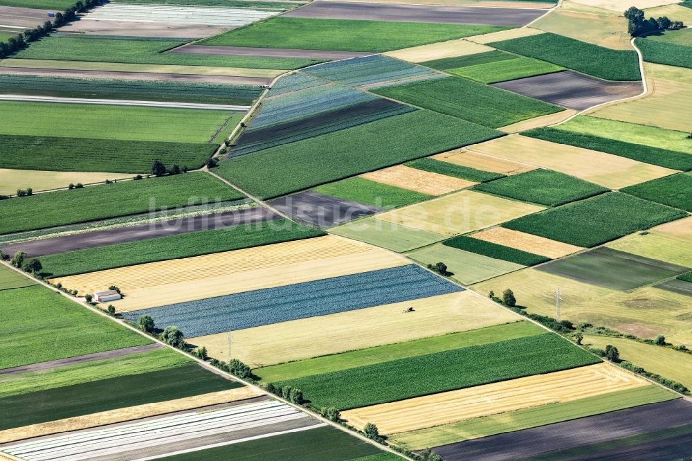 Gundelfingen an der Donau aus der Vogelperspektive: Strukturen auf landwirtschaftlichen Feldern in im Bundesland Bayern, Deutschland