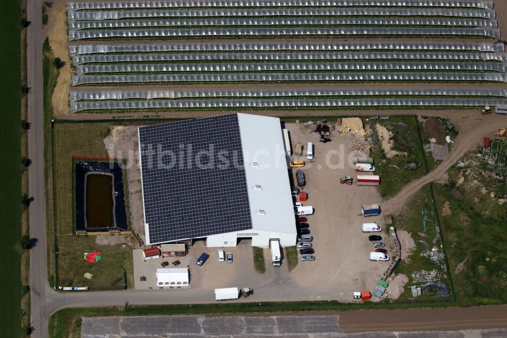 Gebesee von oben - Strukturen auf landwirtschaftlichen Feldern beim Anbau von Erdbeeren in Gebesee im Bundesland Thüringen, Deutschland
