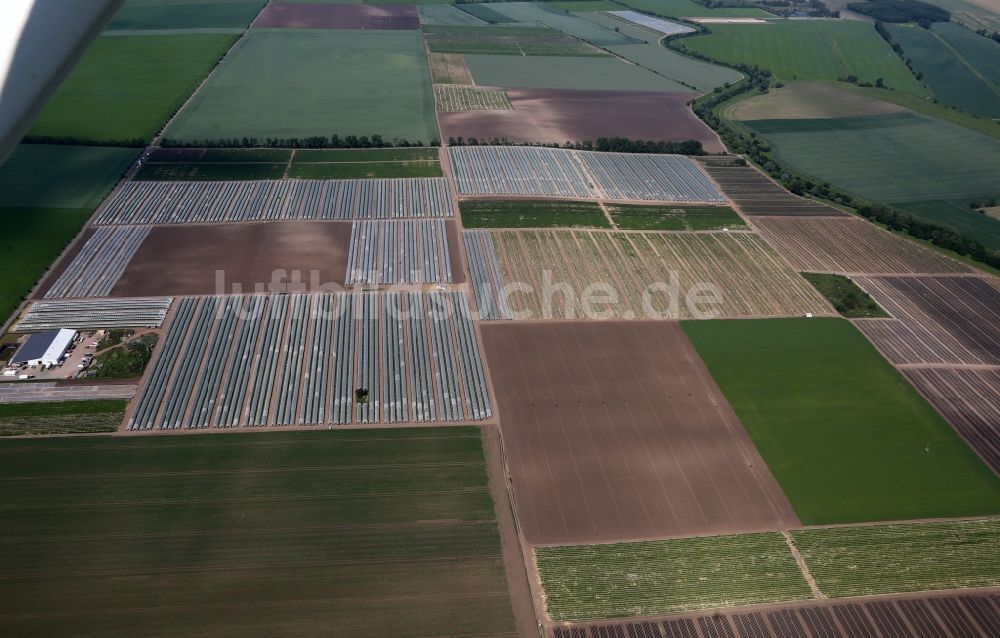 Luftbild Gebesee - Strukturen auf landwirtschaftlichen Feldern beim Anbau von Erdbeeren in Gebesee im Bundesland Thüringen, Deutschland