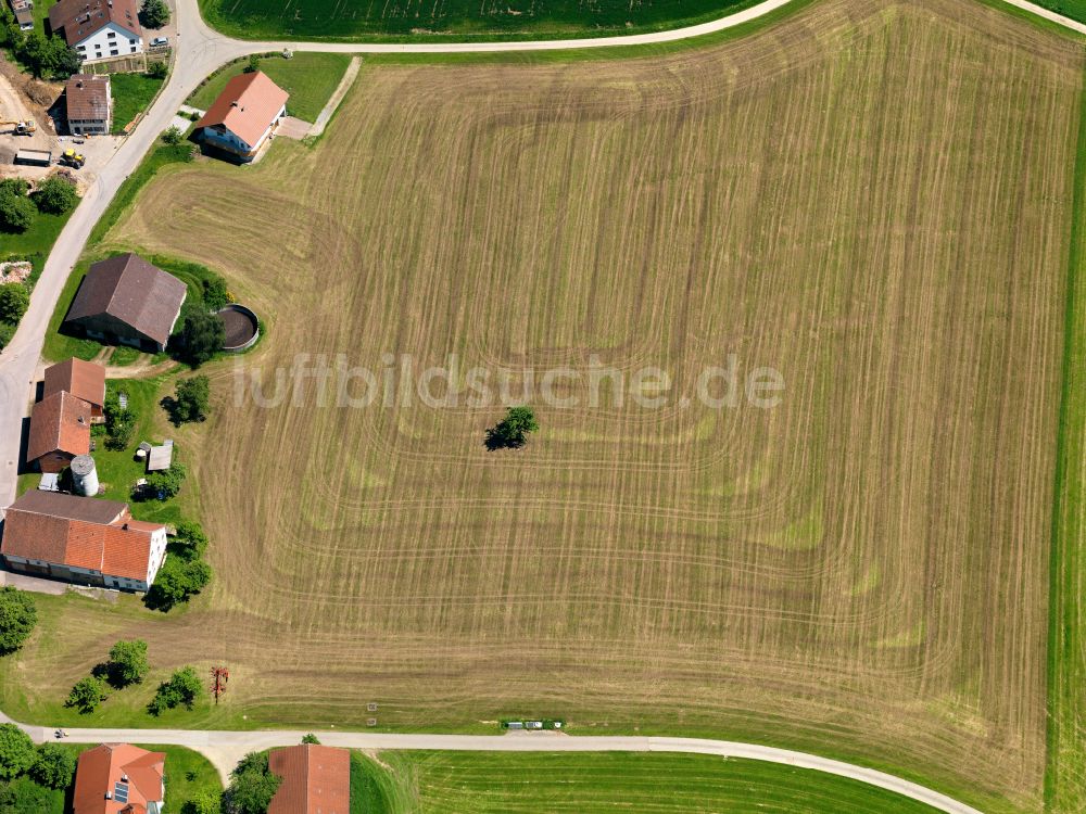 Luftaufnahme Bollsberg - Strukturen auf landwirtschaftlichen Feldern in Bollsberg im Bundesland Baden-Württemberg, Deutschland