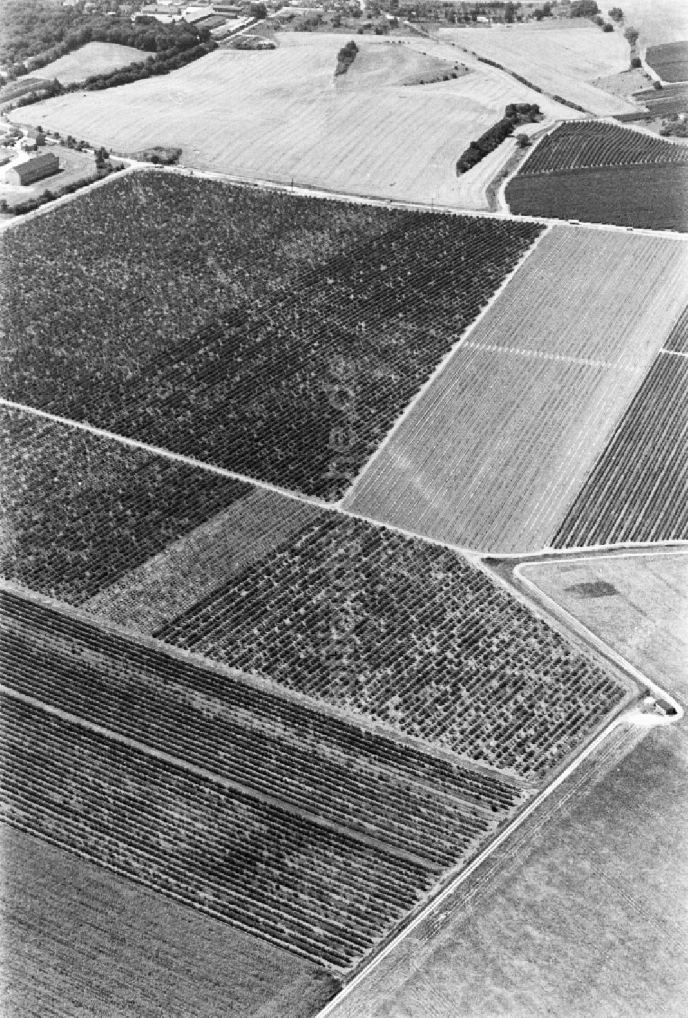 Luftbild Brachstedt - Strukturen auf landwirtschaftlichen Feldern in Brachstedt im Bundesland Sachsen-Anhalt, Deutschland