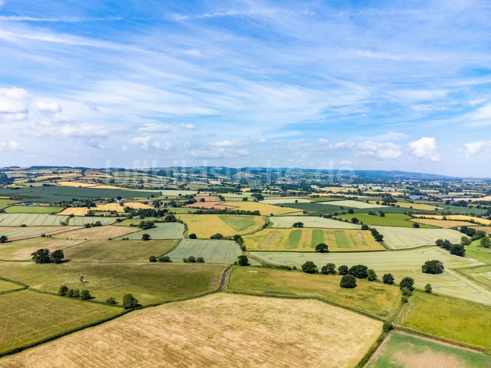 Bridgwater aus der Vogelperspektive: Strukturen auf landwirtschaftlichen Feldern in Bridgwater in England, Vereinigtes Königreich