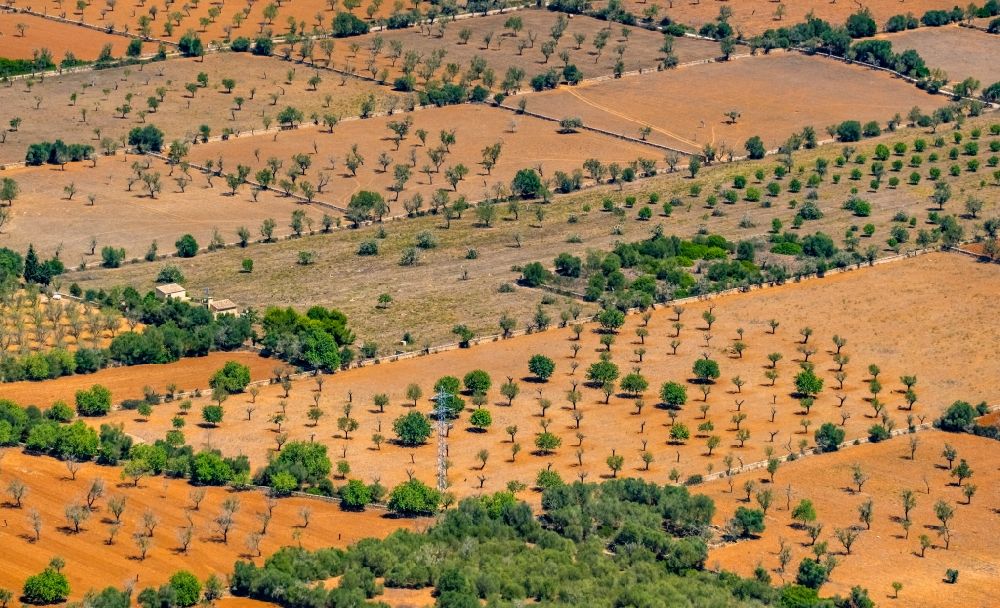 Campos von oben - Strukturen auf landwirtschaftlichen Feldern in Campos in Balearische Insel Mallorca, Spanien