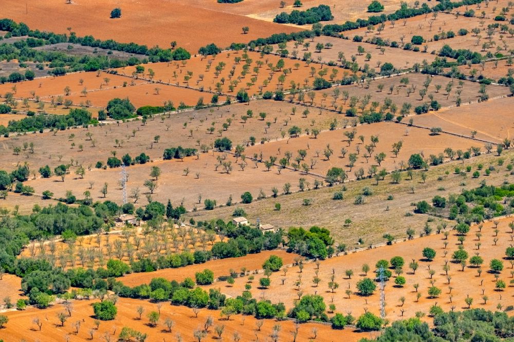 Campos aus der Vogelperspektive: Strukturen auf landwirtschaftlichen Feldern in Campos in Balearische Insel Mallorca, Spanien