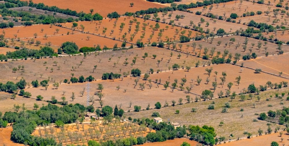 Luftbild Campos - Strukturen auf landwirtschaftlichen Feldern in Campos in Balearische Insel Mallorca, Spanien