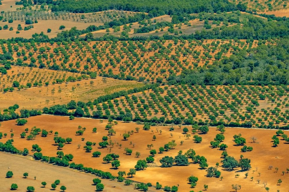 Campos aus der Vogelperspektive: Strukturen auf landwirtschaftlichen Feldern in Campos in Balearische Insel Mallorca, Spanien
