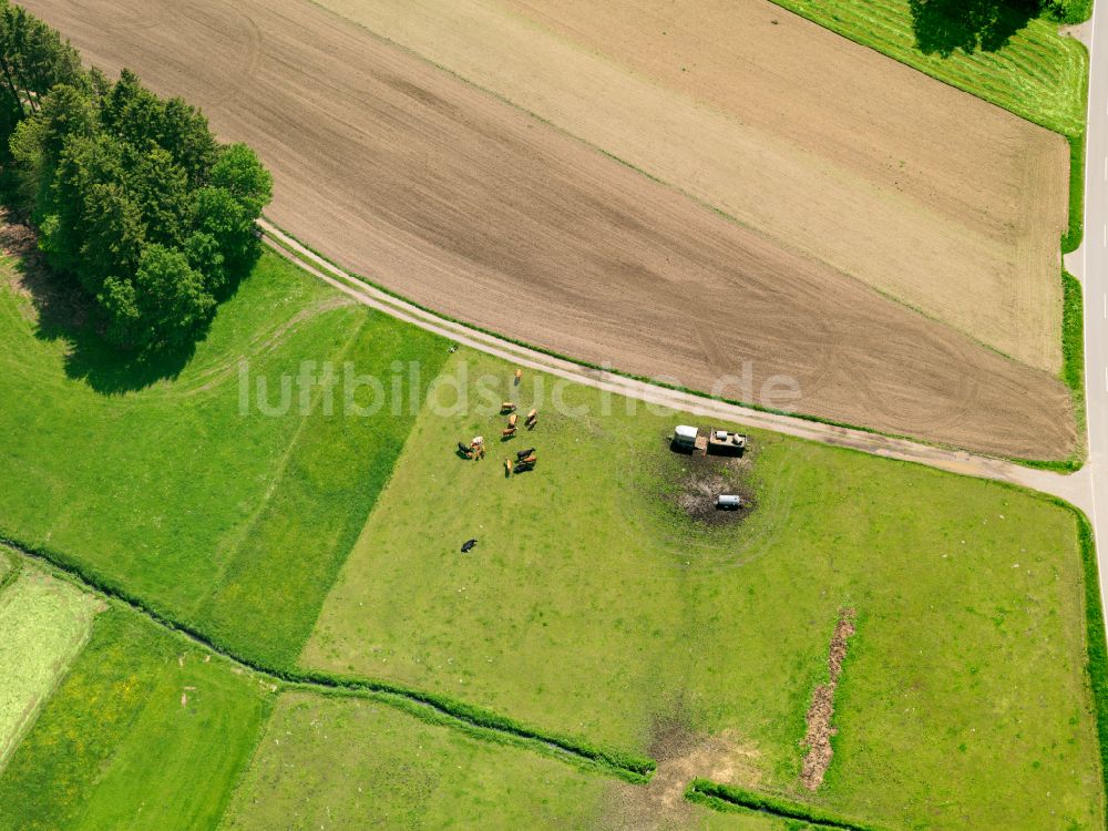 Luftbild Dentingen - Strukturen auf landwirtschaftlichen Feldern in Dentingen im Bundesland Baden-Württemberg, Deutschland