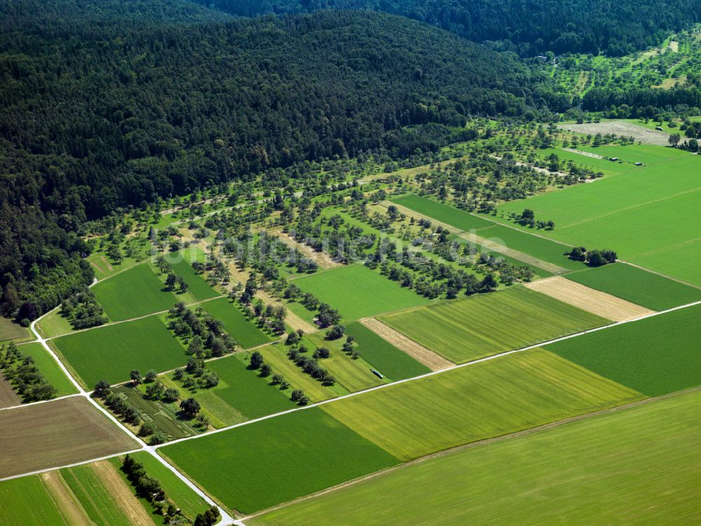 Derendingen von oben - Strukturen auf landwirtschaftlichen Feldern in Derendingen im Bundesland Baden-Württemberg, Deutschland