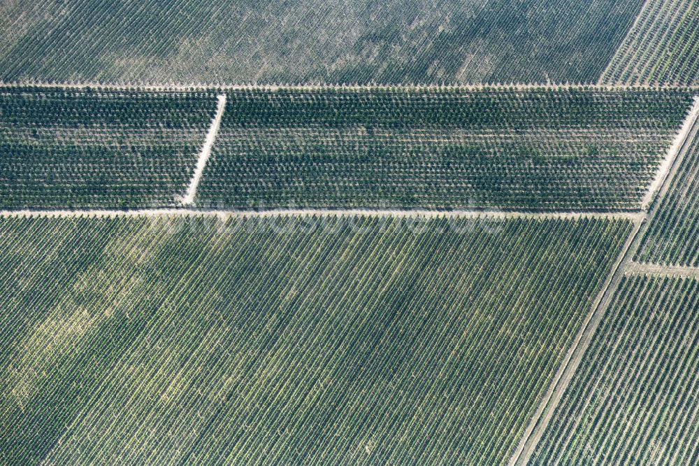 Luftbild Döllstädt - Strukturen auf landwirtschaftlichen Feldern in Döllstädt im Bundesland Thüringen, Deutschland