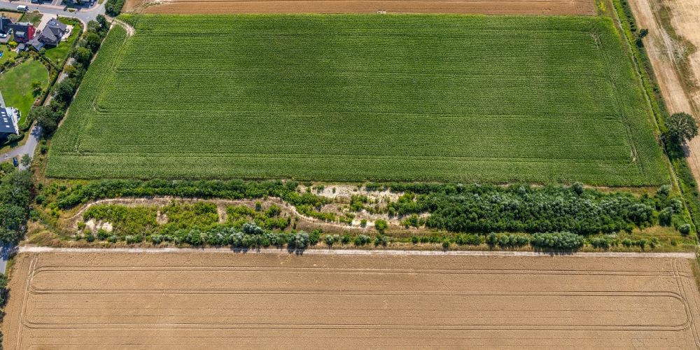 Luftbild Drensteinfurt - Strukturen auf landwirtschaftlichen Feldern in Drensteinfurt im Bundesland Nordrhein-Westfalen, Deutschland