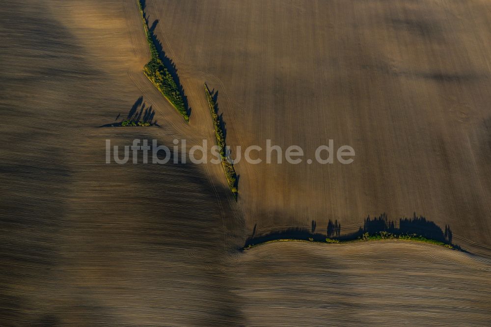 Luftbild Drosa - Strukturen auf landwirtschaftlichen Feldern in Drosa im Bundesland Sachsen-Anhalt, Deutschland