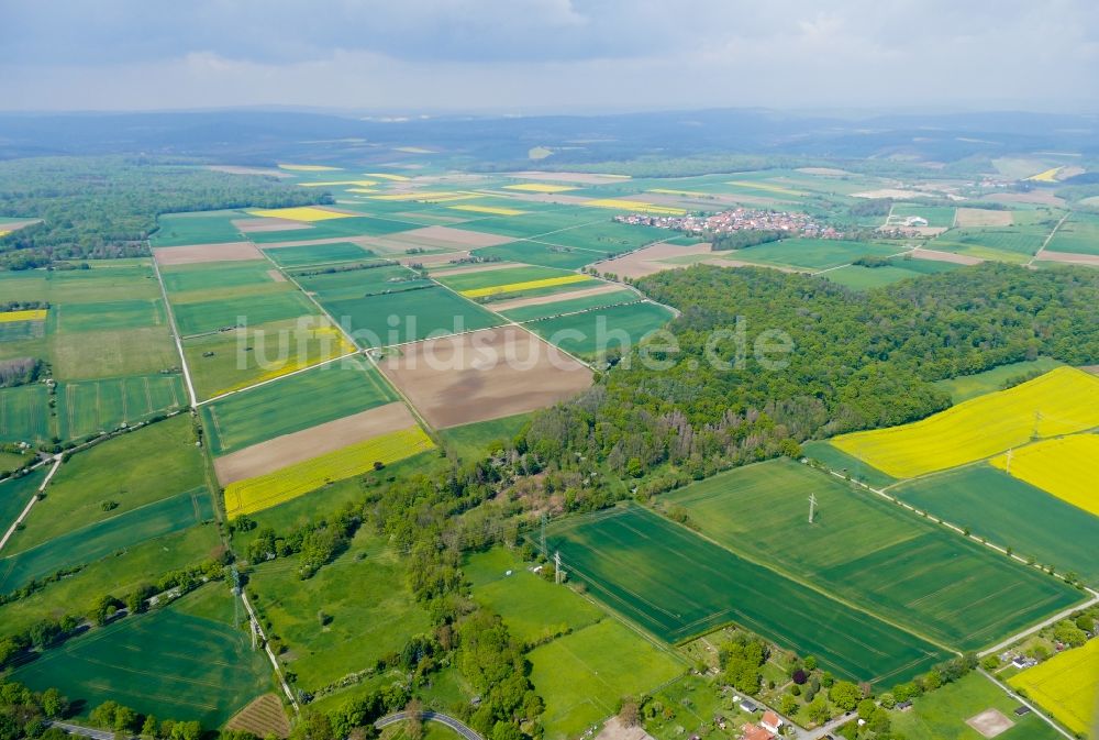 Luftbild Esebeck - Strukturen auf landwirtschaftlichen Feldern in Esebeck im Bundesland Niedersachsen, Deutschland