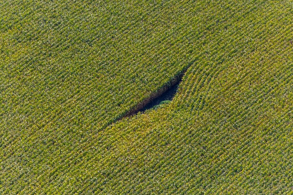 Luftbild Hiltrop - Strukturen auf landwirtschaftlichen Feldern mit Form in Hiltrop im Bundesland Nordrhein-Westfalen, Deutschland
