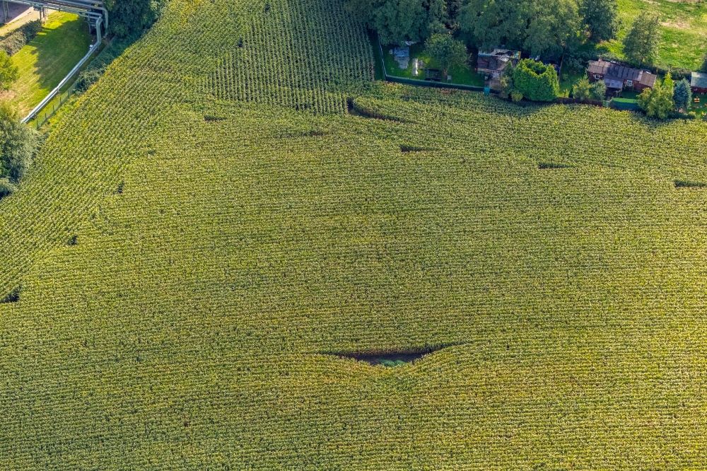 Luftaufnahme Hiltrop - Strukturen auf landwirtschaftlichen Feldern mit Form in Hiltrop im Bundesland Nordrhein-Westfalen, Deutschland