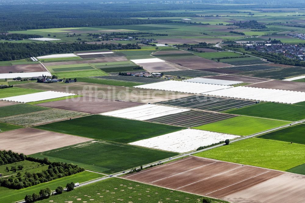 Luftaufnahme Gernsheim - Strukturen auf landwirtschaftlichen Feldern in Gernsheim im Bundesland Hessen, Deutschland