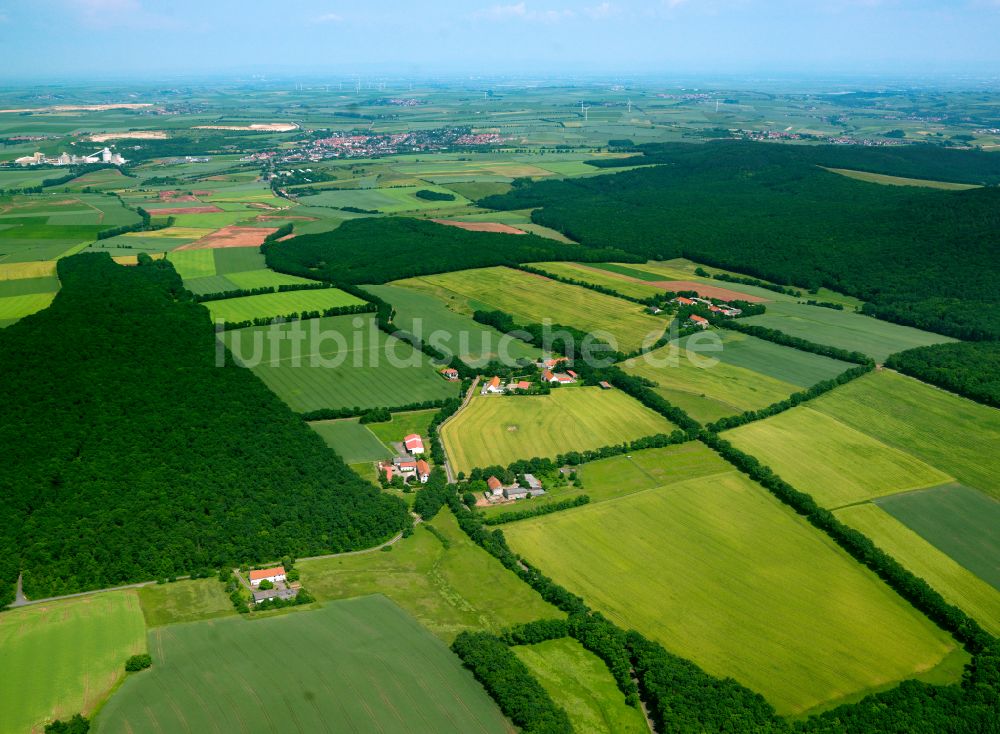 Luftaufnahme Göllheim - Strukturen auf landwirtschaftlichen Feldern in Göllheim im Bundesland Rheinland-Pfalz, Deutschland