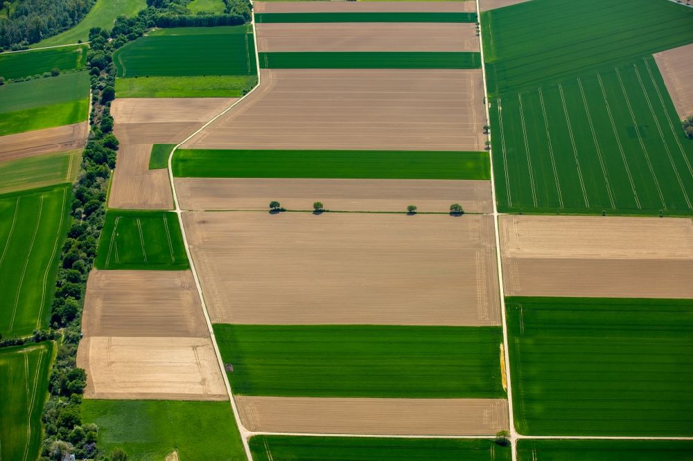 Luftaufnahme Grevenbroich - Strukturen auf landwirtschaftlichen Feldern in Grevenbroich im Bundesland Nordrhein-Westfalen