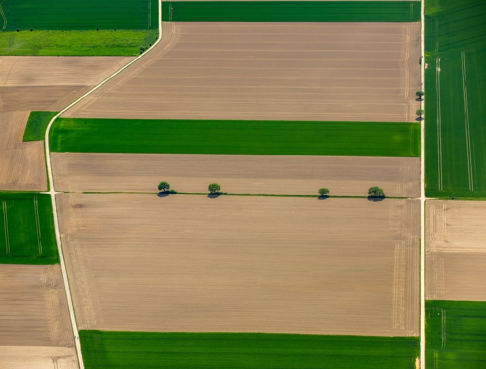 Grevenbroich aus der Vogelperspektive: Strukturen auf landwirtschaftlichen Feldern in Grevenbroich im Bundesland Nordrhein-Westfalen