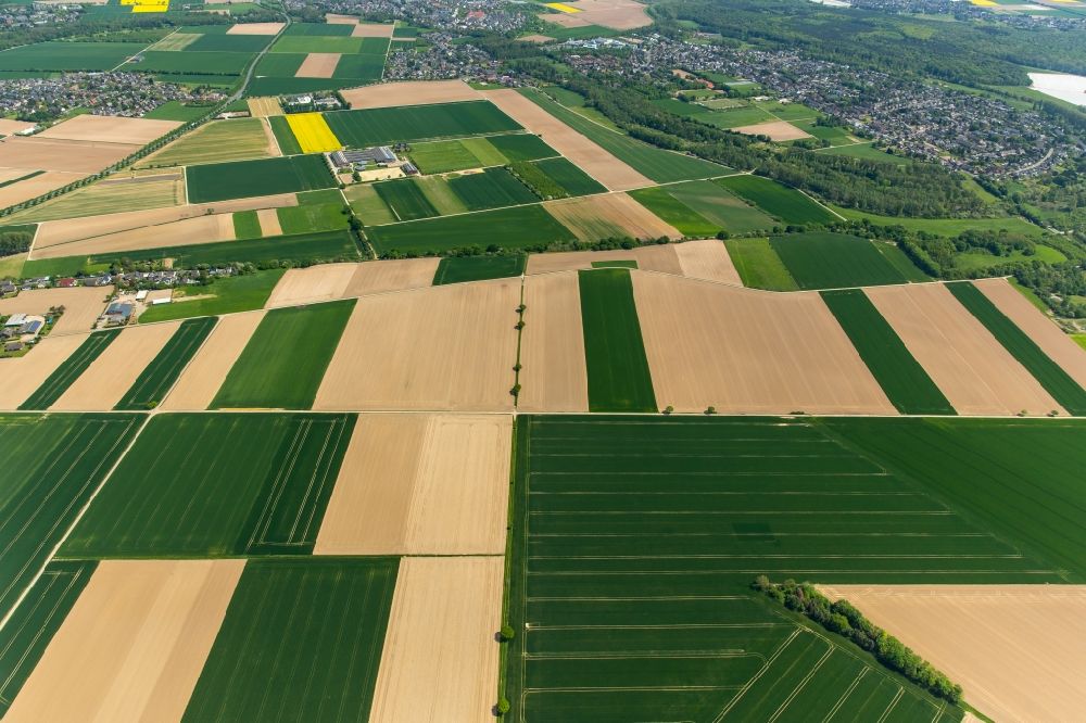 Luftaufnahme Grevenbroich - Strukturen auf landwirtschaftlichen Feldern in Grevenbroich im Bundesland Nordrhein-Westfalen