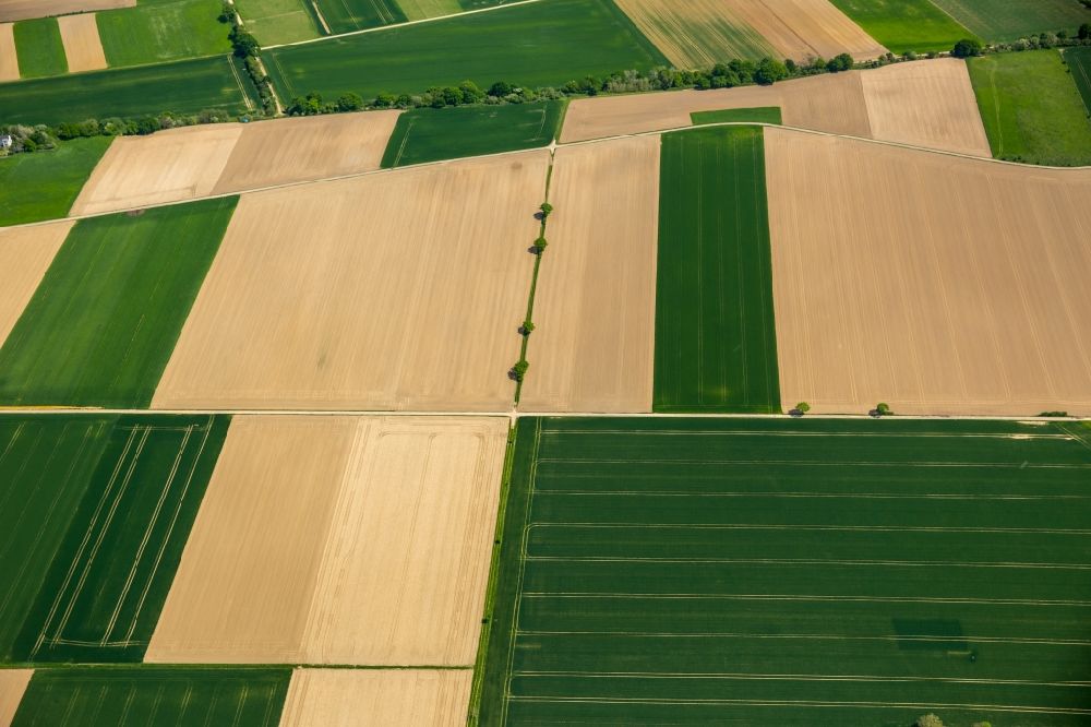 Grevenbroich von oben - Strukturen auf landwirtschaftlichen Feldern in Grevenbroich im Bundesland Nordrhein-Westfalen