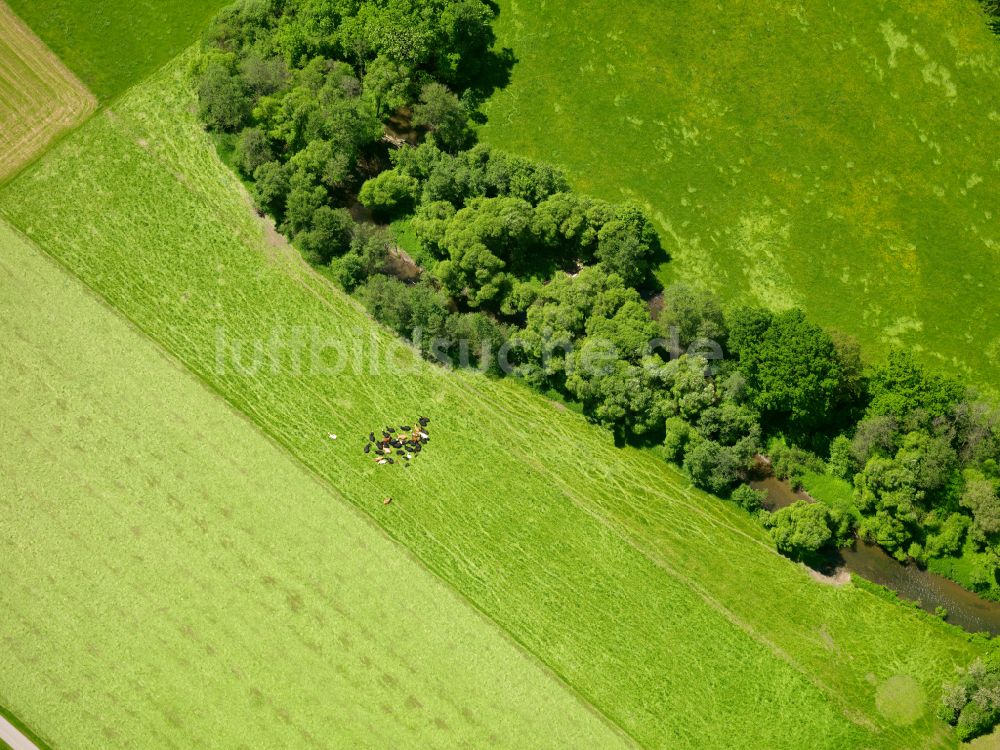 Gutenzell-Hürbel von oben - Strukturen auf landwirtschaftlichen Feldern in Gutenzell-Hürbel im Bundesland Baden-Württemberg, Deutschland