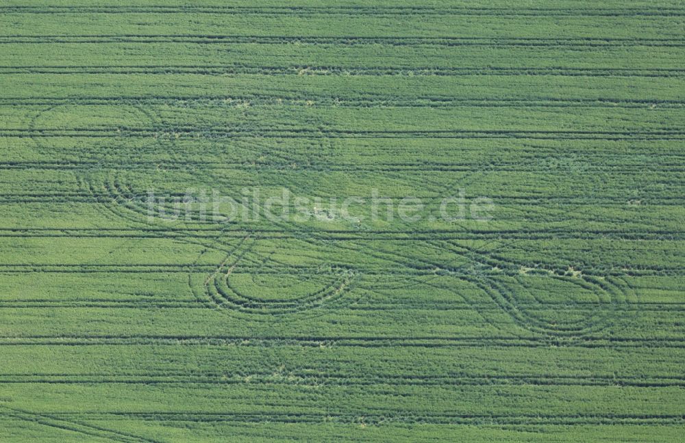 Haßleben von oben - Strukturen auf landwirtschaftlichen Feldern in Haßleben im Bundesland Thüringen, Deutschland