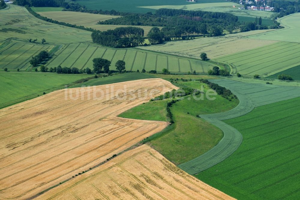 Heudeber aus der Vogelperspektive: Strukturen auf landwirtschaftlichen Feldern in Heudeber im Bundesland Sachsen-Anhalt, Deutschland
