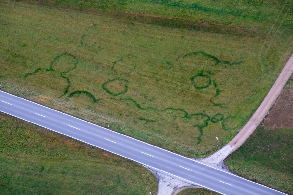 Luftbild Hasel - Strukturen auf landwirtschaftlichen Feldern, Hexenringe, hervorgerufen durch das unterirdische Wachstum des Myzel eines Pilzes in Hasel im Bundesland Baden-Württemberg, Deutschland
