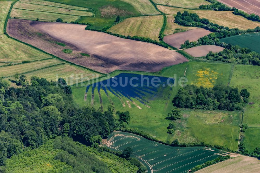Hütten aus der Vogelperspektive: Strukturen auf landwirtschaftlichen Feldern in Hütten im Bundesland Schleswig-Holstein, Deutschland