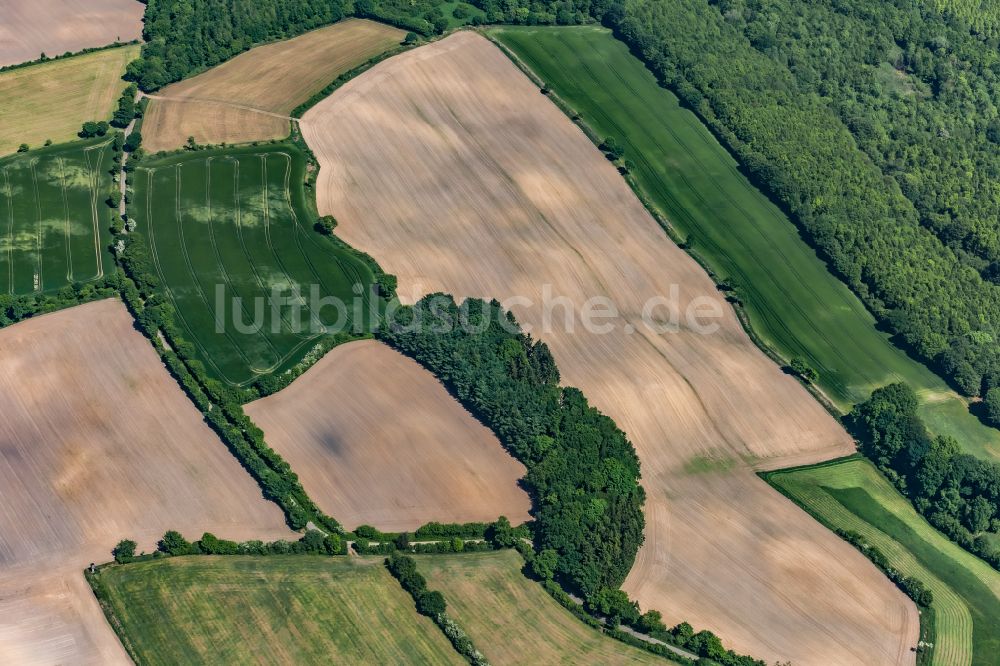 Luftaufnahme Hummelfeld - Strukturen auf landwirtschaftlichen Feldern in Hummelfeld im Bundesland Schleswig-Holstein, Deutschland