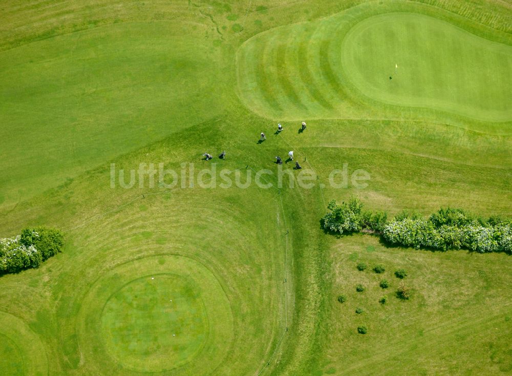 Luftbild Imsbach - Strukturen auf landwirtschaftlichen Feldern in Imsbach im Bundesland Rheinland-Pfalz, Deutschland