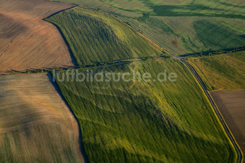 Luftaufnahme Kaltenmark - Strukturen auf landwirtschaftlichen Feldern in Kaltenmark im Bundesland Sachsen-Anhalt, Deutschland