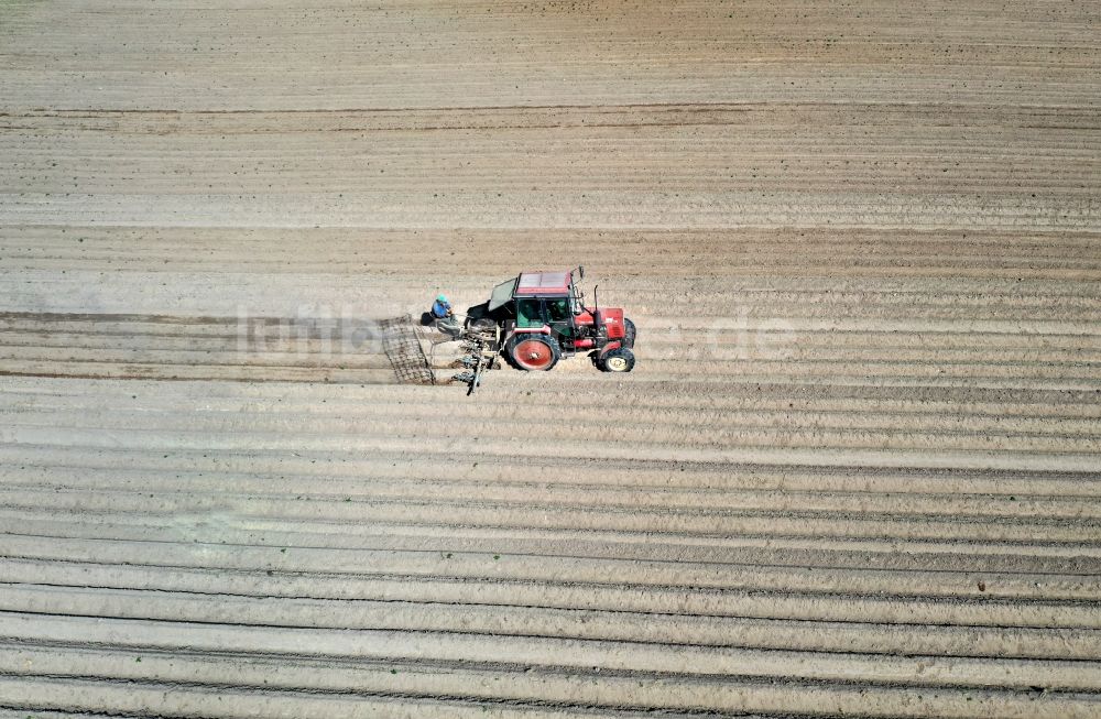 Luftaufnahme Jahnsfelde - Strukturen auf landwirtschaftlichen Feldern eines Kartoffelfeldes in Jahnsfelde im Bundesland Brandenburg, Deutschland