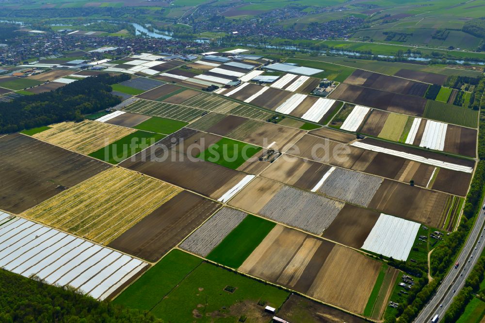 Kitzingen aus der Vogelperspektive: Strukturen auf landwirtschaftlichen Feldern in Kitzingen im Bundesland Bayern, Deutschland