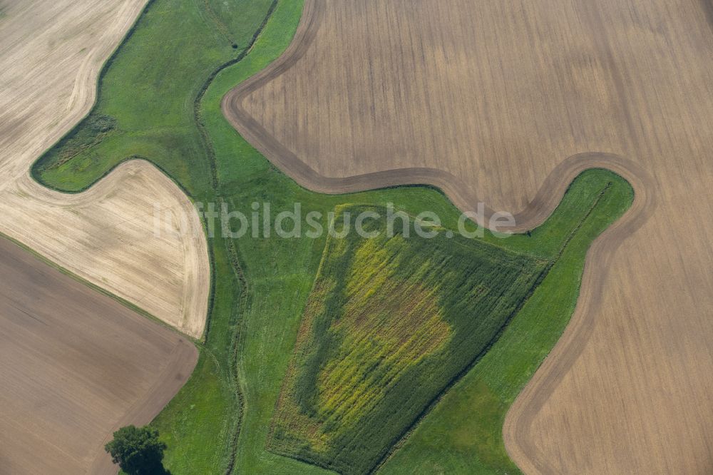 Luftaufnahme Klein Kordshagen - Strukturen auf landwirtschaftlichen Feldern in Klein Kordshagen im Bundesland Mecklenburg-Vorpommern, Deutschland