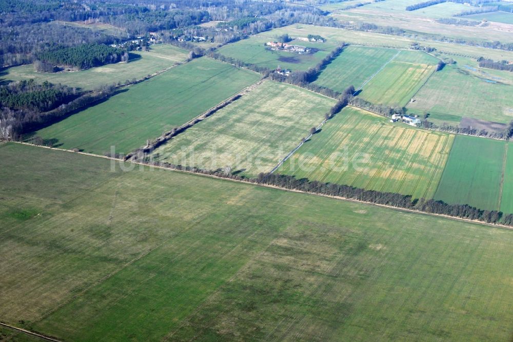 Luftbild Kreuzbruch - Strukturen auf landwirtschaftlichen Feldern in Kreuzbruch im Bundesland Brandenburg, Deutschland