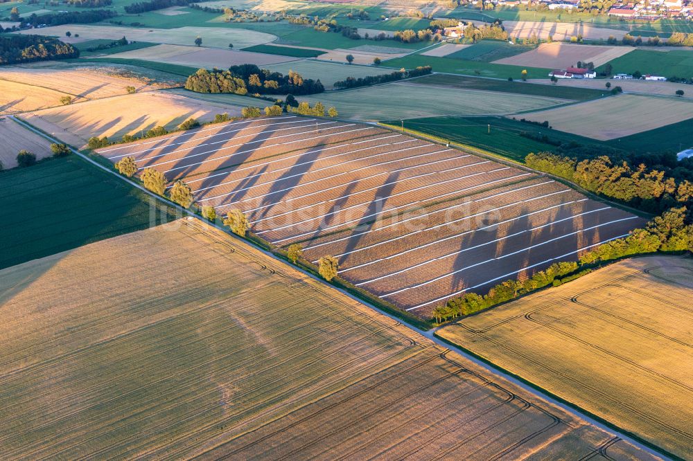 Luftbild Geiselhöring - Strukturen auf landwirtschaftlichen Feldern mit langen Schatten der angrenzenden Baumreihen in Geiselhöring im Bundesland Bayern, Deutschland
