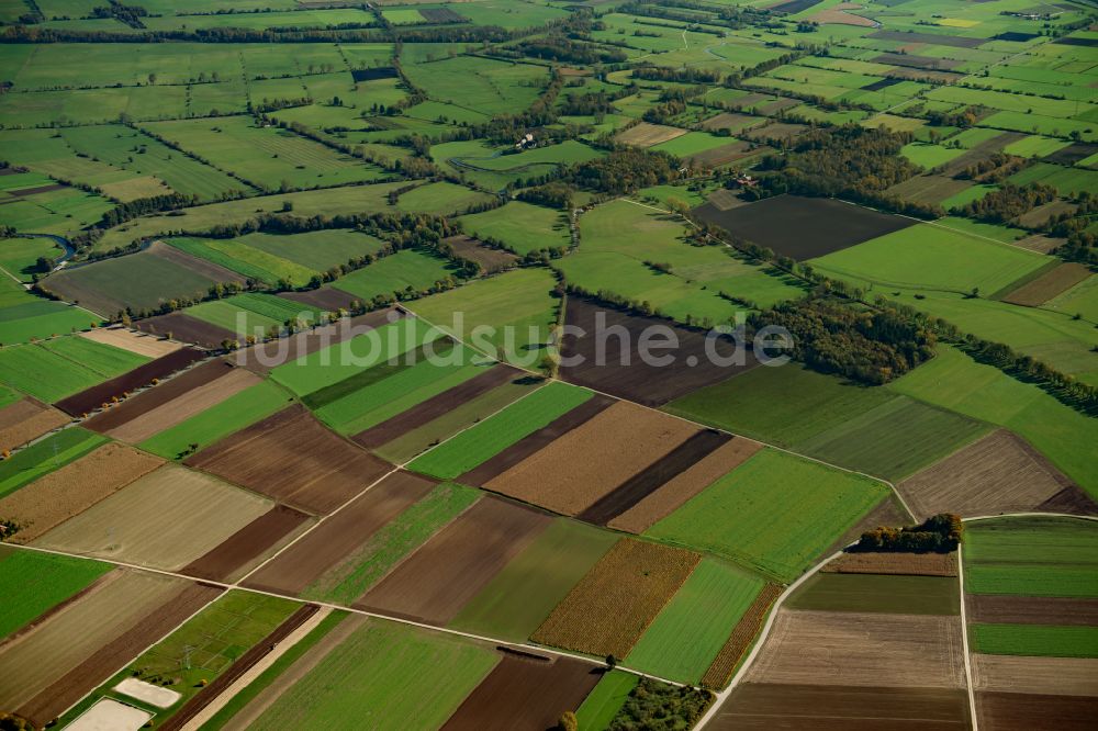 Langenau von oben - Strukturen auf landwirtschaftlichen Feldern in Langenau im Bundesland Baden-Württemberg, Deutschland