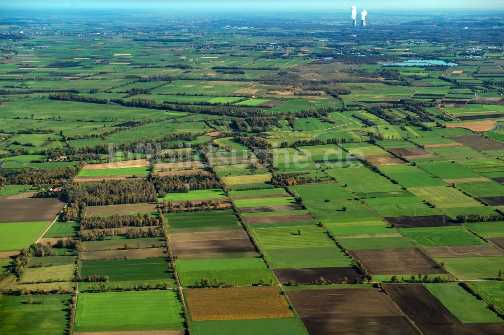 Luftbild Langenau - Strukturen auf landwirtschaftlichen Feldern in Langenau im Bundesland Baden-Württemberg, Deutschland