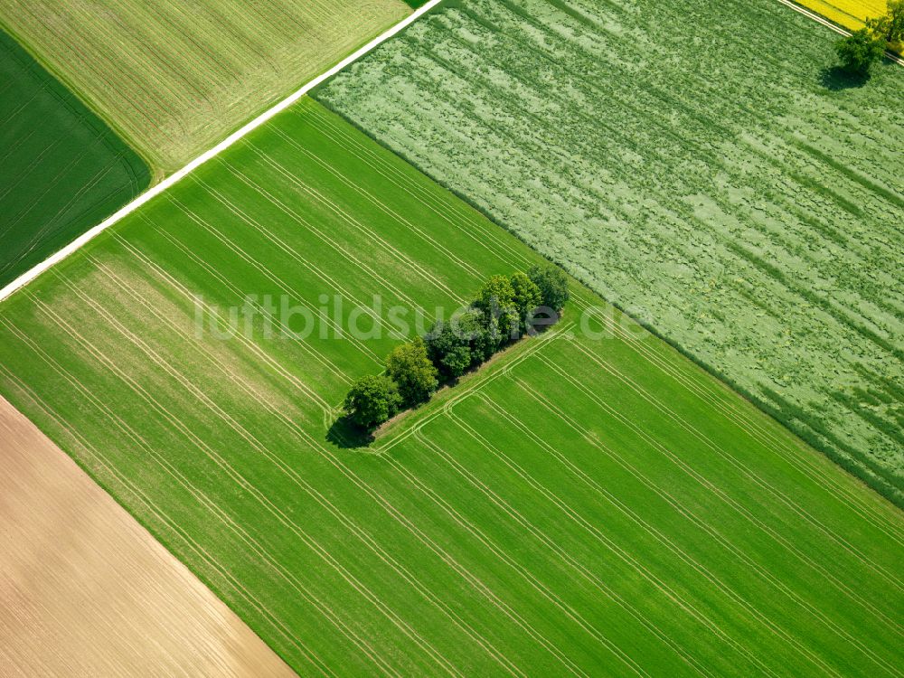 Luftaufnahme Langenenslingen - Strukturen auf landwirtschaftlichen Feldern in Langenenslingen im Bundesland Baden-Württemberg, Deutschland