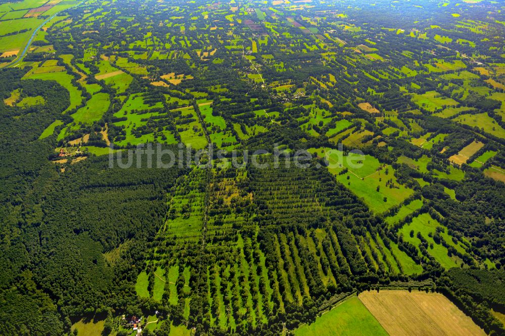 Luftbild Leipe - Strukturen auf landwirtschaftlichen Feldern in Leipe im Bundesland Brandenburg, Deutschland