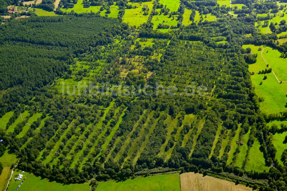 Luftaufnahme Leipe - Strukturen auf landwirtschaftlichen Feldern in Leipe im Bundesland Brandenburg, Deutschland