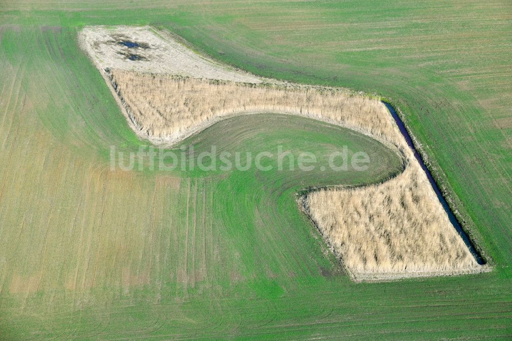Lieberose von oben - Strukturen auf landwirtschaftlichen Feldern in Lieberose im Bundesland Brandenburg, Deutschland