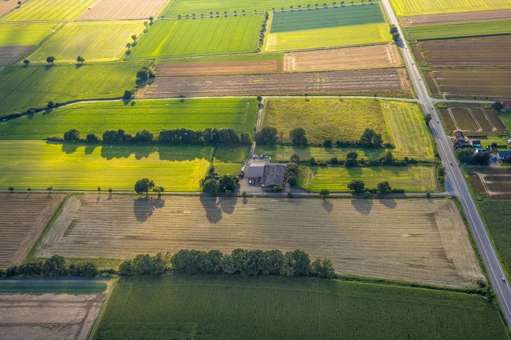 Luftbild Mawicke - Strukturen auf landwirtschaftlichen Feldern in Mawicke im Bundesland Nordrhein-Westfalen, Deutschland