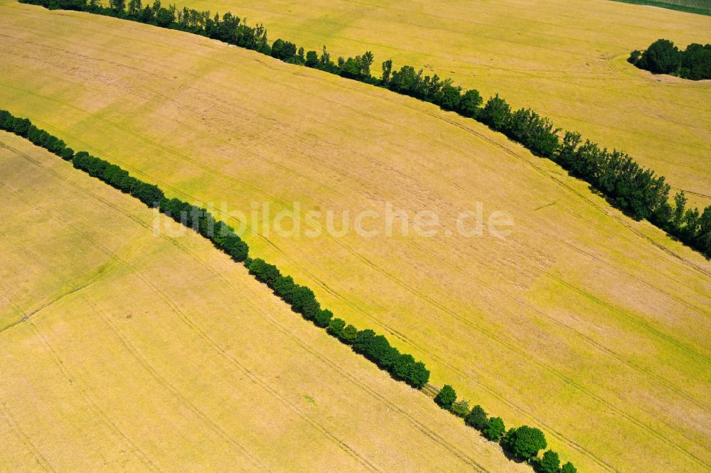 Luftbild Memmendorf - Strukturen auf landwirtschaftlichen Feldern in Memmendorf im Bundesland Sachsen, Deutschland
