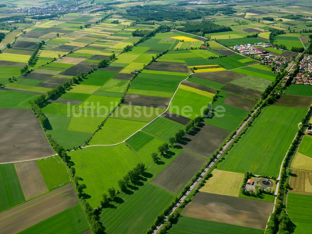 Luftbild Mietingen - Strukturen auf landwirtschaftlichen Feldern in Mietingen im Bundesland Baden-Württemberg, Deutschland