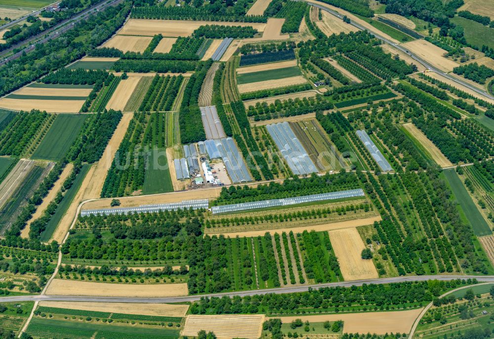Luftaufnahme Mösbach - Strukturen auf landwirtschaftlichen Feldern in Mösbach im Bundesland Baden-Württemberg, Deutschland